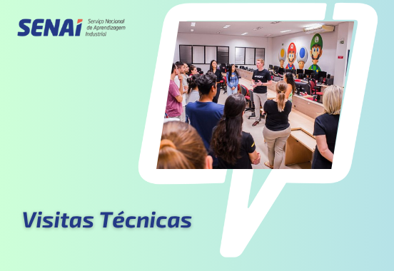 Visitas Técnicas